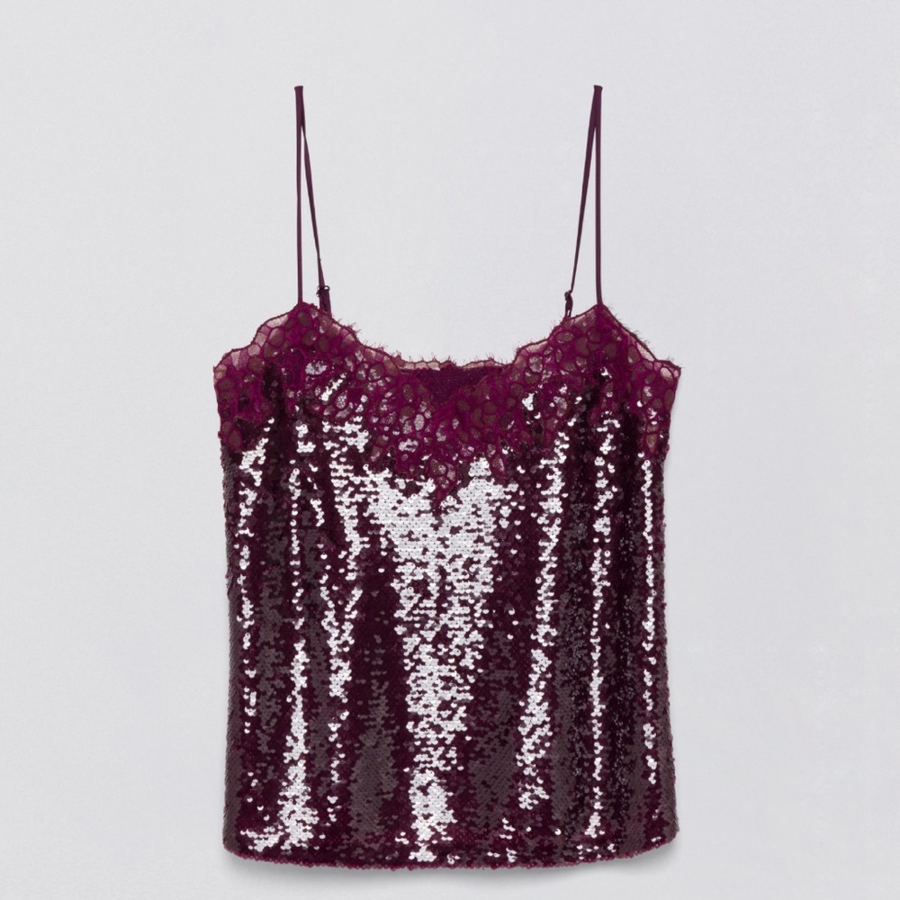 SIMKHAI Arlene Sequined & Lace Tank size 6 NWT